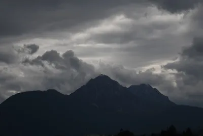 DSC_6390 (Large).JPG